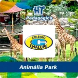 PAP25CHP - Pedaggico Animlia Park - Chalupe 2025