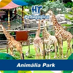 Imagens do produto Pedaggico Amimlia Park - Chalupe 2025