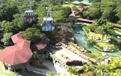 Imagens do produto Pedaggico Animlia Park - Chalupe INF 2025