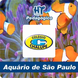 Imagens do produto Pedaggico Aqurio SP - Chalupe 2024