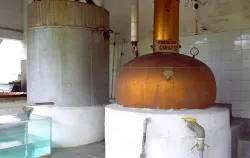 Imagens do produto Pedaggico Bananal - Poliedro SJC 2025