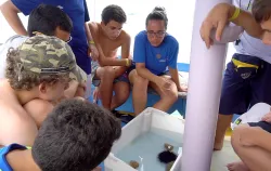 Imagens do produto Pedaggico Paraty - Poliedro So Jos 2025