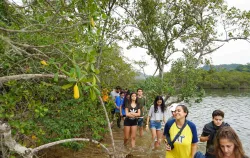 Imagens do produto Pedaggico Paraty - Poliedro So Jos 2025