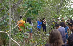Imagens do produto Pedaggico Paraty - Poliedro So Jos 2025